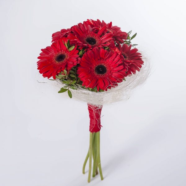 Bouquet gerbera roja
